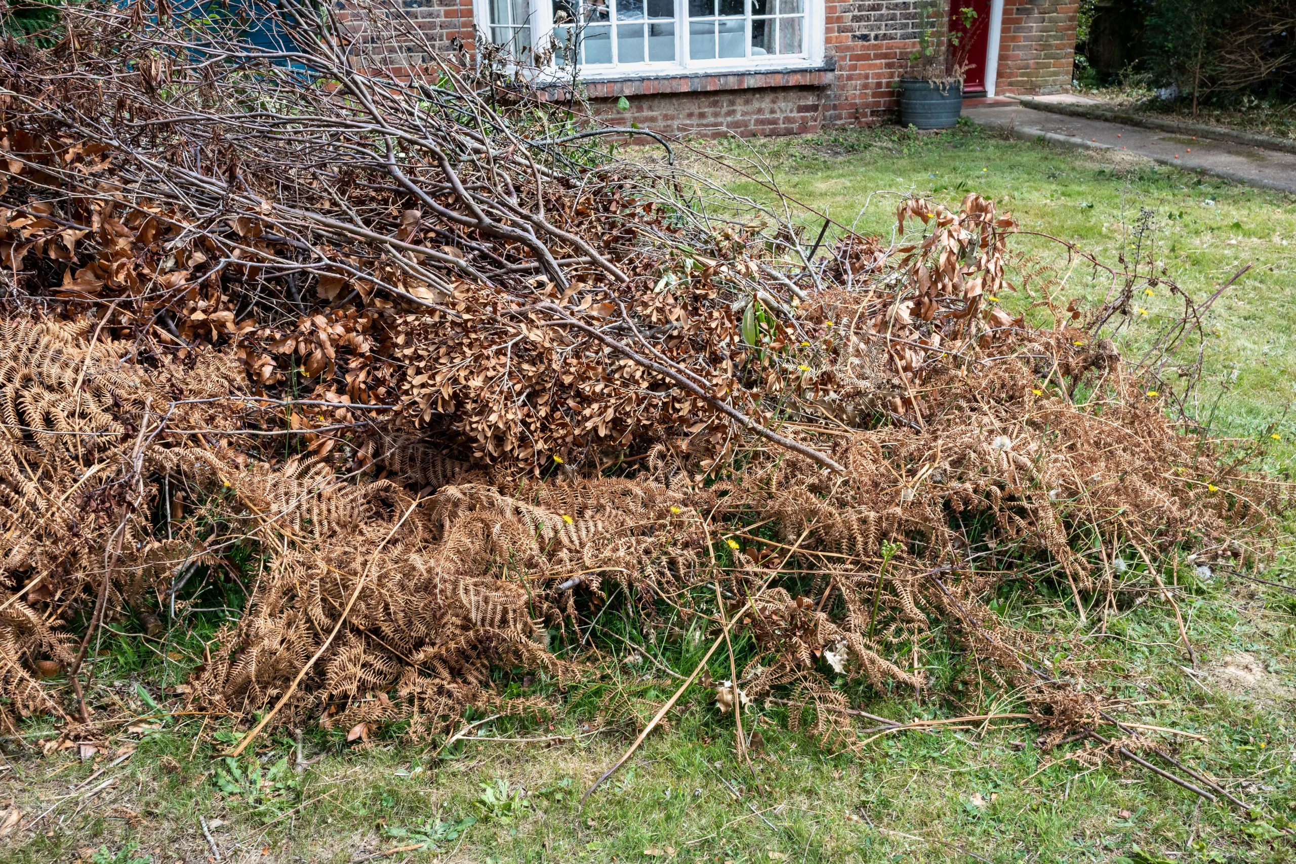 Garden Clearance Lee SE12