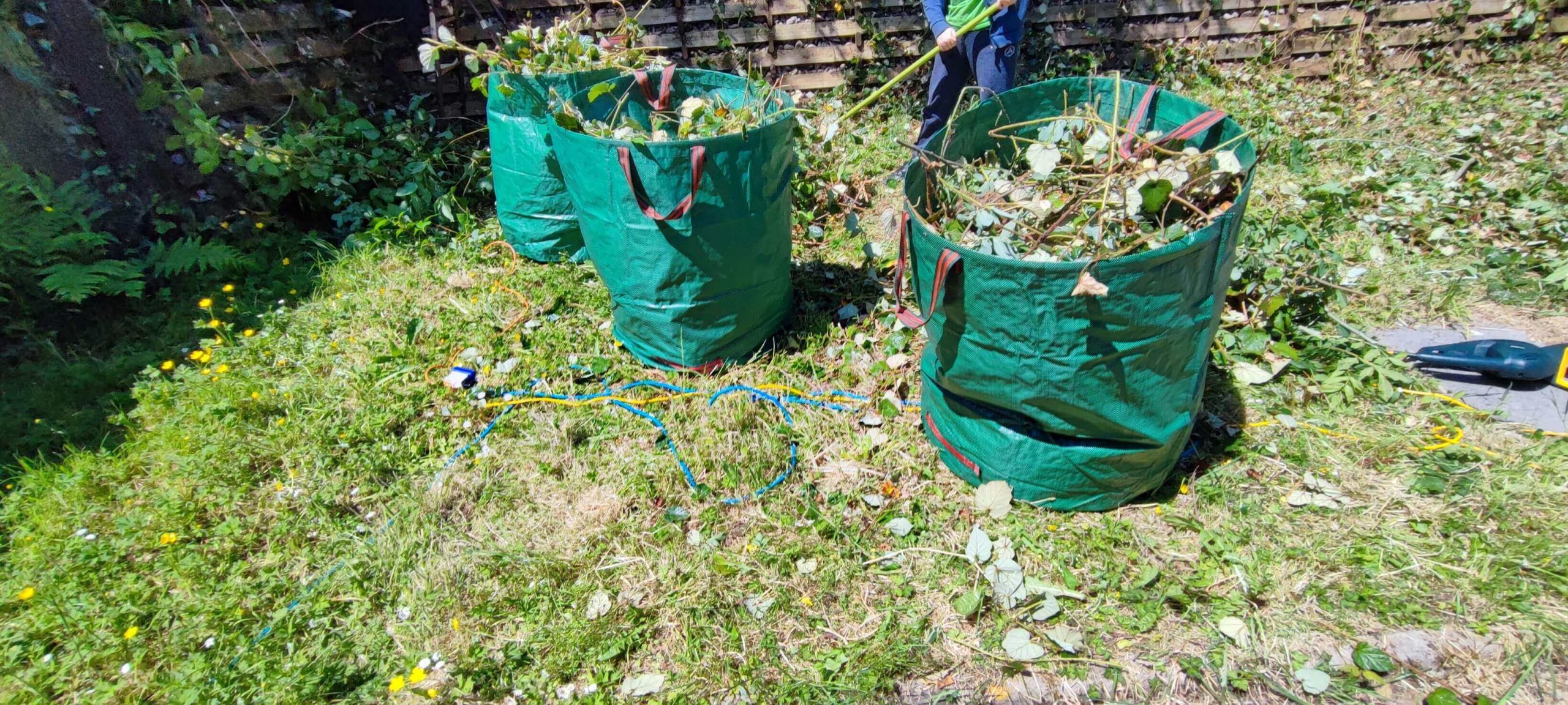 Green Waste Removals Lee SE12