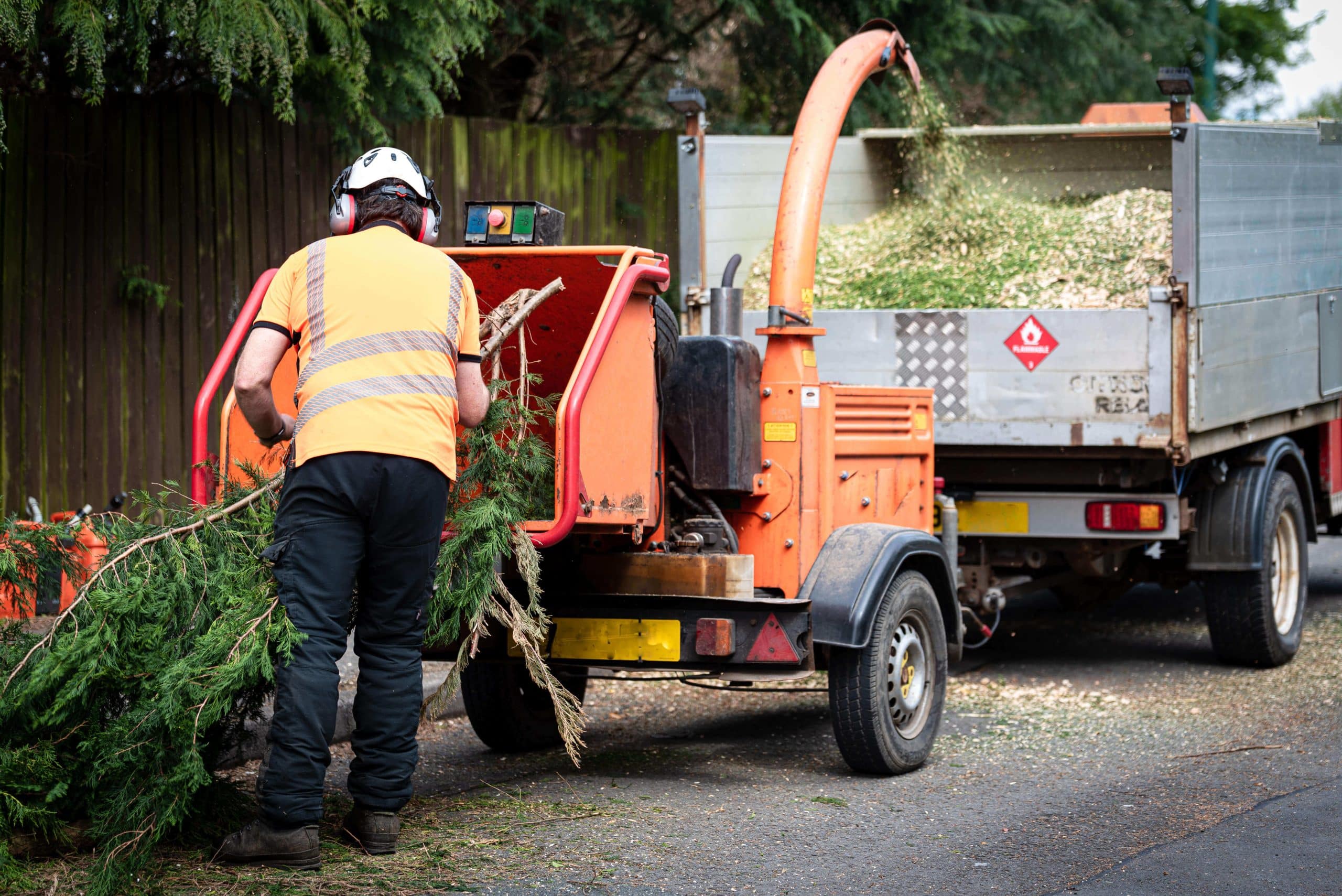 Tree Stump Grinding/Removal Lee SE12